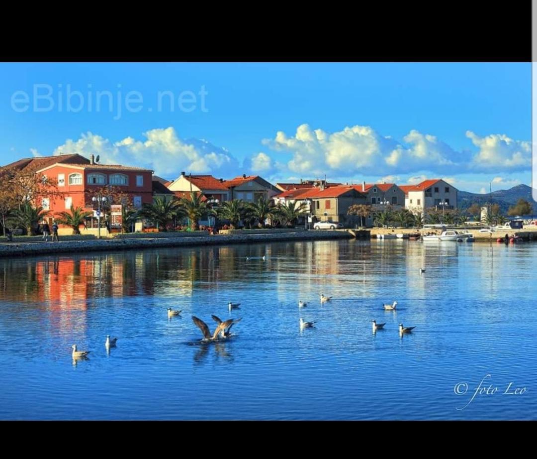 Apartment Mate Bibinje Εξωτερικό φωτογραφία